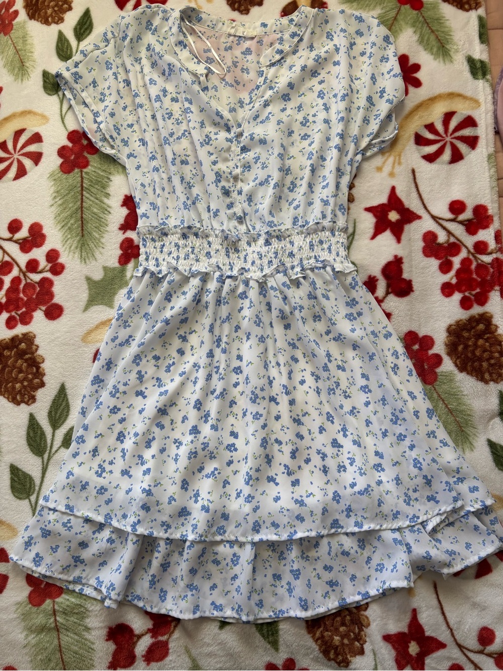 Womenโs Sienna Sky White Dress with blue flowers pattern